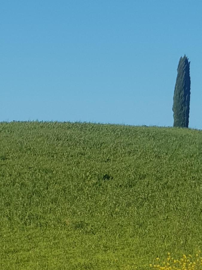 Appartamento casa per l'osticcio vista sulla val d'orcia Montalcino Esterno foto