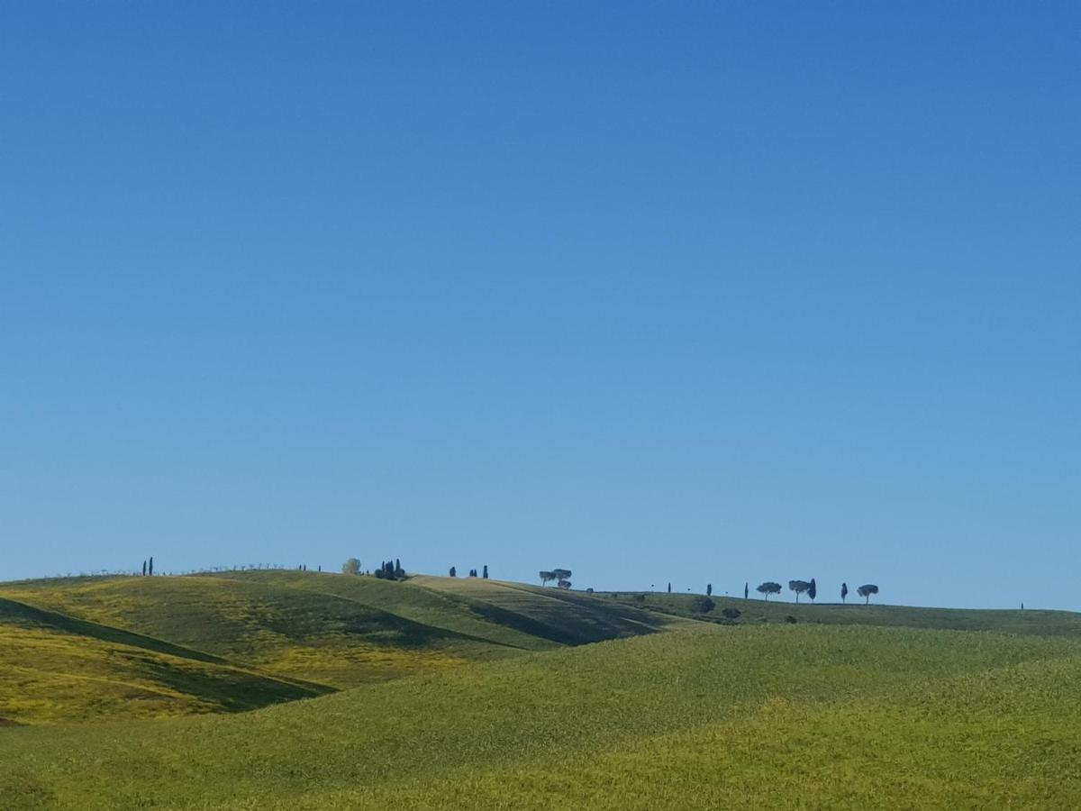 Appartamento casa per l'osticcio vista sulla val d'orcia Montalcino Esterno foto