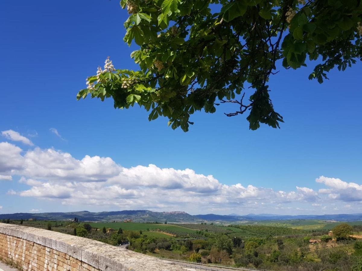 Appartamento casa per l'osticcio vista sulla val d'orcia Montalcino Esterno foto