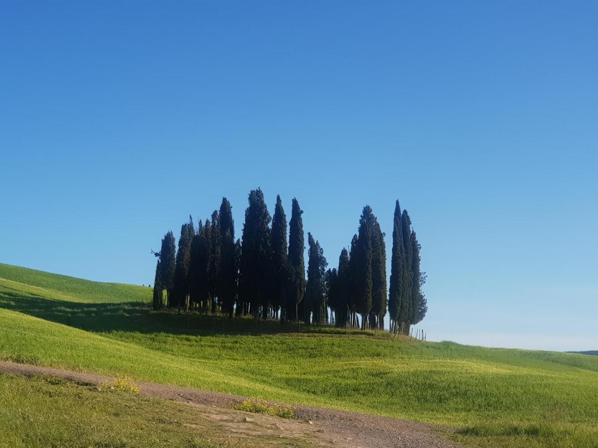 Appartamento casa per l'osticcio vista sulla val d'orcia Montalcino Esterno foto