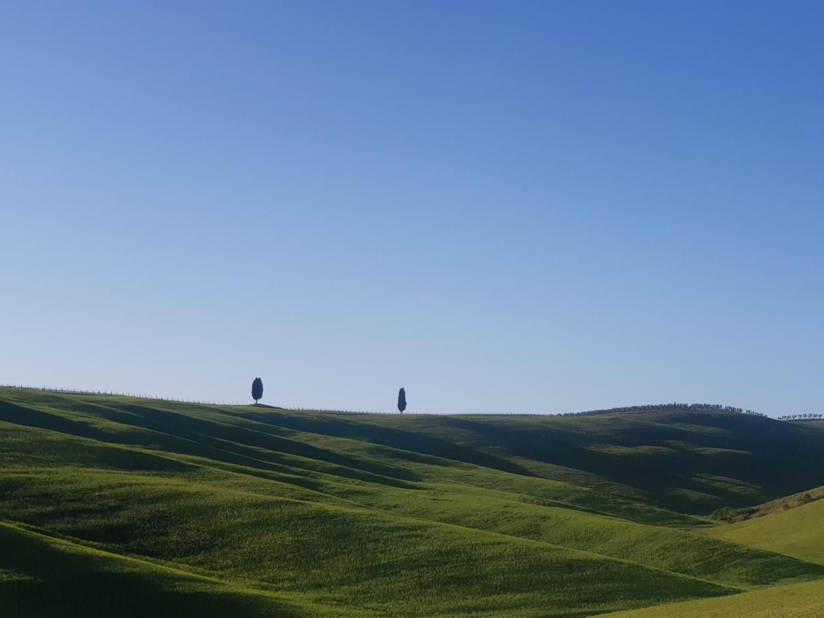 Appartamento casa per l'osticcio vista sulla val d'orcia Montalcino Esterno foto