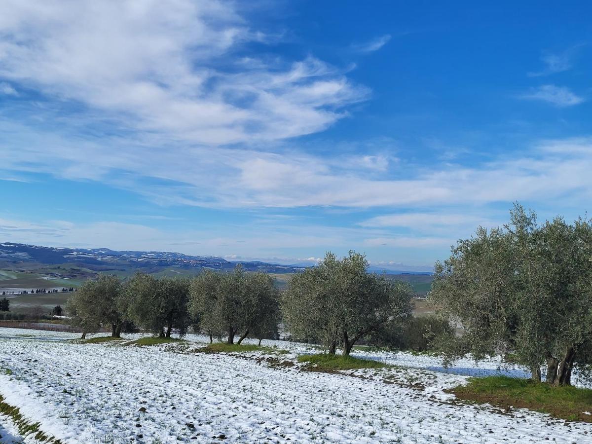 Appartamento casa per l'osticcio vista sulla val d'orcia Montalcino Esterno foto