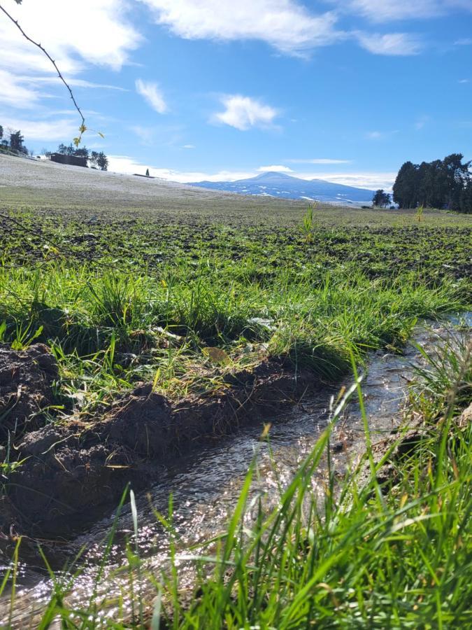 Appartamento casa per l'osticcio vista sulla val d'orcia Montalcino Esterno foto