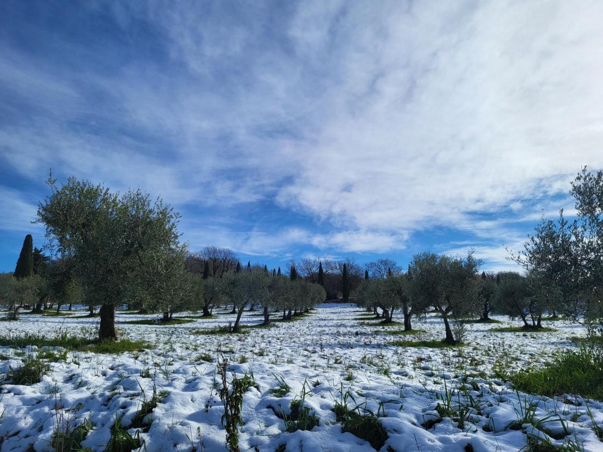 Appartamento casa per l'osticcio vista sulla val d'orcia Montalcino Esterno foto