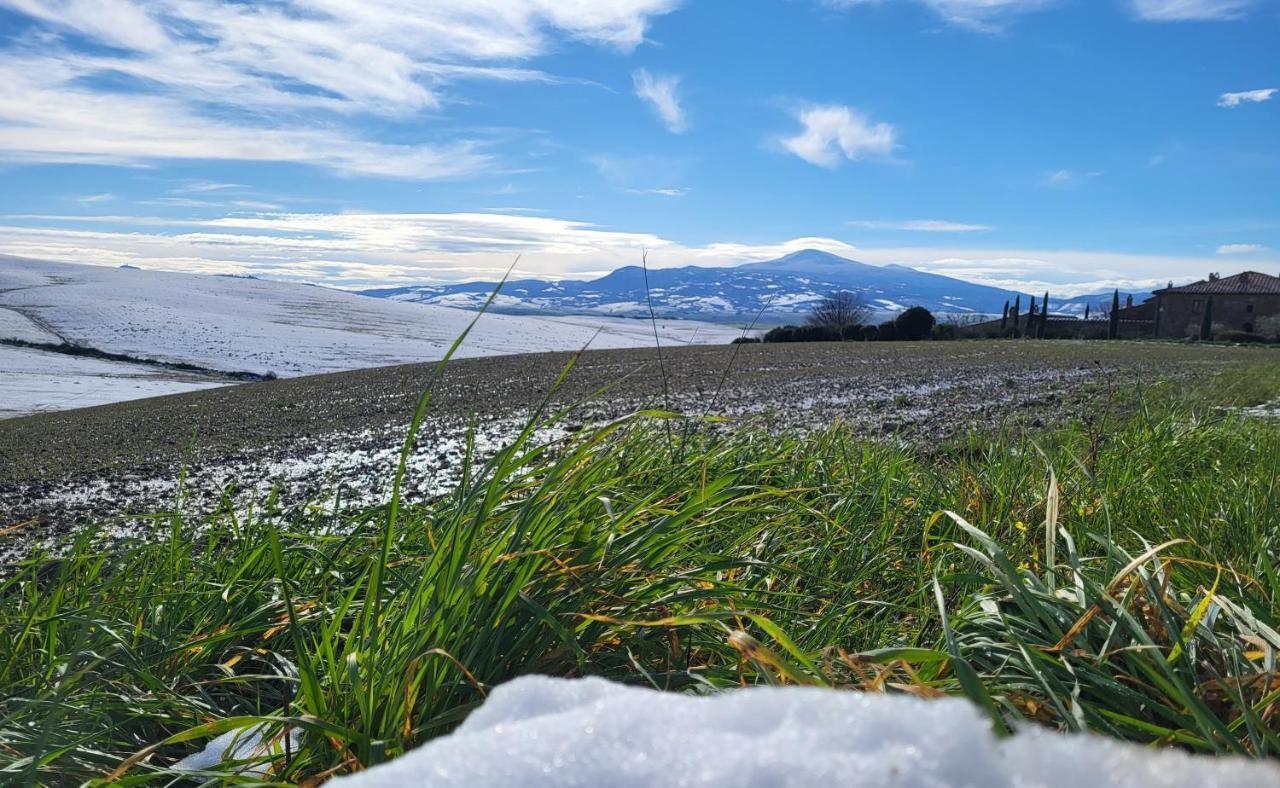 Appartamento casa per l'osticcio vista sulla val d'orcia Montalcino Esterno foto