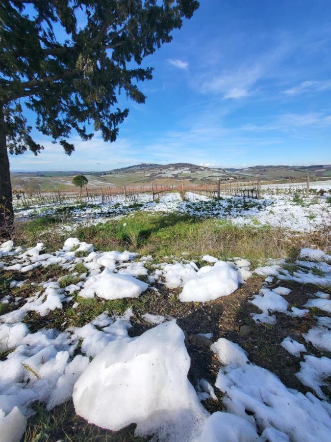 Appartamento casa per l'osticcio vista sulla val d'orcia Montalcino Esterno foto